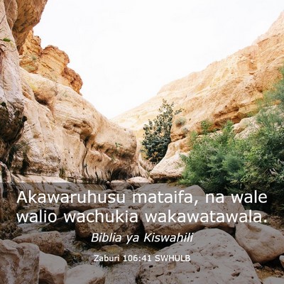 Picture 03 - Zaburi 106:41 SWHULB - Akawaruhusu mataifa, na wale walio wachukia - Bible Verse Picture