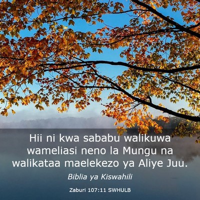 Picture 03 - Zaburi 107:11 SWHULB - Hii ni kwa sababu walikuwa wameliasi neno la - Bible Verse Picture