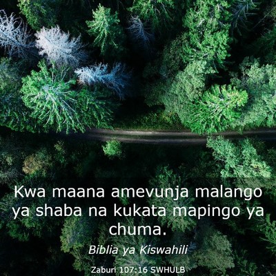 Picture 03 - Zaburi 107:16 SWHULB - Kwa maana amevunja malango ya shaba na kukata - Bible Verse Picture