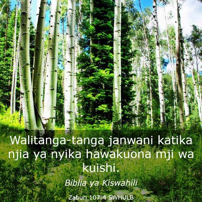 Picture 03 - Zaburi 107:4 SWHULB - Walitanga-tanga janwani katika njia ya nyika - Bible Verse Picture