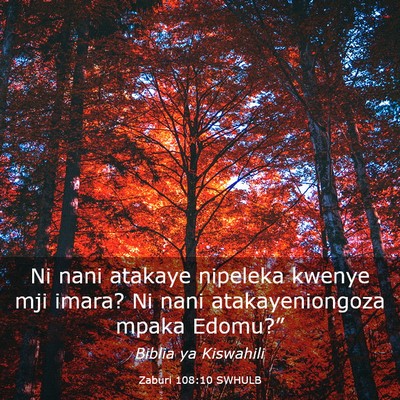 Picture 03 - Zaburi 108:10 SWHULB - Ni nani atakaye nipeleka kwenye mji imara? Ni - Bible Verse Picture
