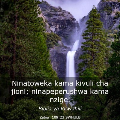 Picture 03 - Zaburi 109:23 SWHULB - Ninatoweka kama kivuli cha jioni; ninapeperushwa - Bible Verse Picture