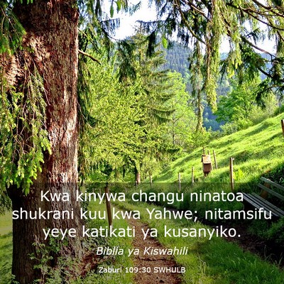 Picture 03 - Zaburi 109:30 SWHULB - Kwa kinywa changu ninatoa shukrani kuu kwa Yahwe; - Bible Verse Picture