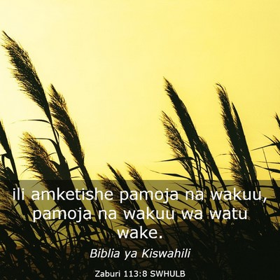 Picture 03 - Zaburi 113:8 SWHULB - ili amketishe pamoja na wakuu, pamoja na wakuu wa - Bible Verse Picture