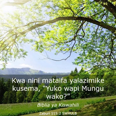 Picture 03 - Zaburi 115:2 SWHULB - Kwa nini mataifa yalazimike kusema, “Yuko wapi - Bible Verse Picture