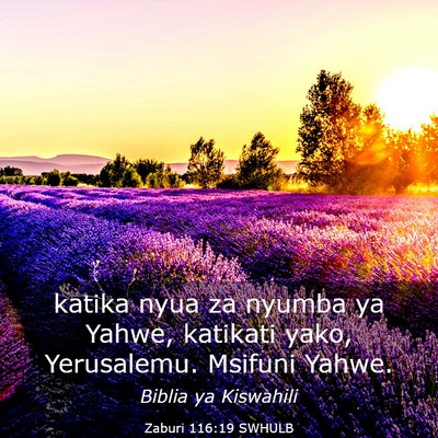 Picture 03 - Zaburi 116:19 SWHULB - katika nyua za nyumba ya Yahwe, katikati yako, - Bible Verse Picture