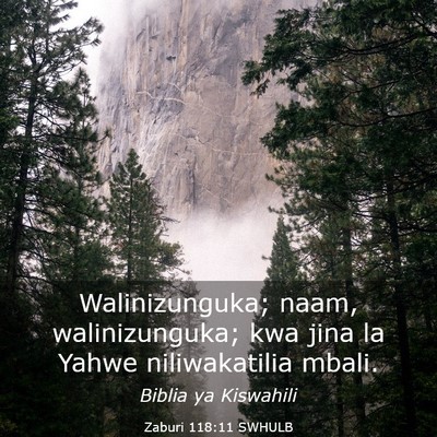 Picture 03 - Zaburi 118:11 SWHULB - Walinizunguka; naam, walinizunguka; kwa jina la - Bible Verse Picture