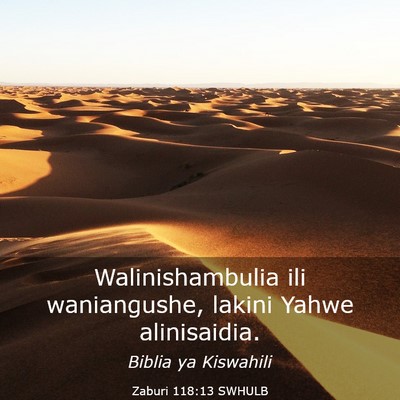 Picture 03 - Zaburi 118:13 SWHULB - Walinishambulia ili waniangushe, lakini Yahwe - Bible Verse Picture
