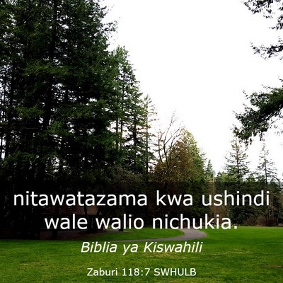 Picture 03 - Zaburi 118:7 SWHULB - nitawatazama kwa ushindi wale walio - Bible Verse Picture