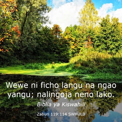 Picture 03 - Zaburi 119:114 SWHULB - Wewe ni ficho langu na ngao yangu; nalingoja neno - Bible Verse Picture