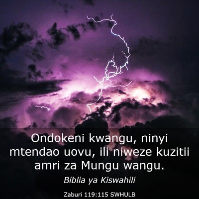 Picture 03 - Zaburi 119:115 SWHULB - Ondokeni kwangu, ninyi mtendao uovu, ili niweze - Bible Verse Picture