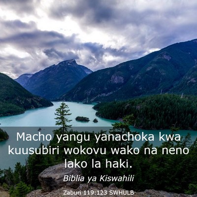 Picture 03 - Zaburi 119:123 SWHULB - Macho yangu yanachoka kwa kuusubiri wokovu wako - Bible Verse Picture