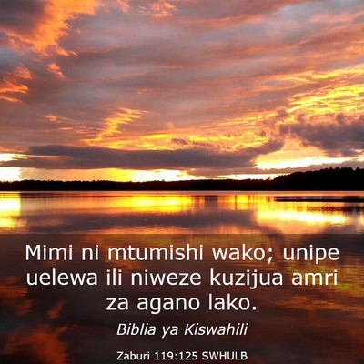 Picture 03 - Zaburi 119:125 SWHULB - Mimi ni mtumishi wako; unipe uelewa ili niweze - Bible Verse Picture
