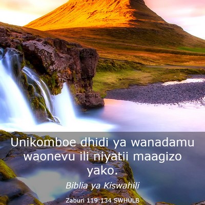 Picture 03 - Zaburi 119:134 SWHULB - Unikomboe dhidi ya wanadamu waonevu ili niyatii - Bible Verse Picture
