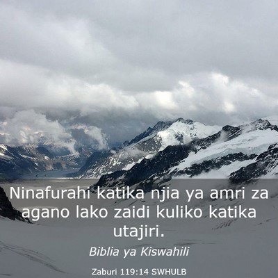 Picture 03 - Zaburi 119:14 SWHULB - Ninafurahi katika njia ya amri za agano lako - Bible Verse Picture