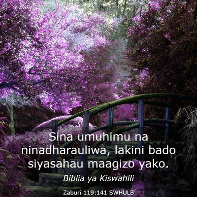 Picture 03 - Zaburi 119:141 SWHULB - Sina umuhimu na ninadharauliwa, lakini bado - Bible Verse Picture