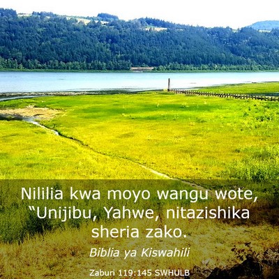 Picture 03 - Zaburi 119:145 SWHULB - Nililia kwa moyo wangu wote, “Unijibu, Yahwe, - Bible Verse Picture