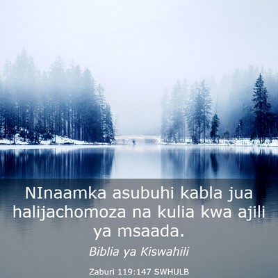 Picture 03 - Zaburi 119:147 SWHULB - NInaamka asubuhi kabla jua halijachomoza na kulia - Bible Verse Picture