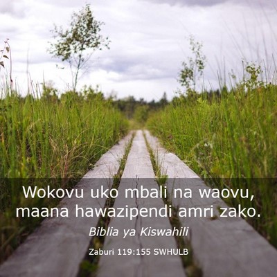 Picture 03 - Zaburi 119:155 SWHULB - Wokovu uko mbali na waovu, maana hawazipendi amri - Bible Verse Picture