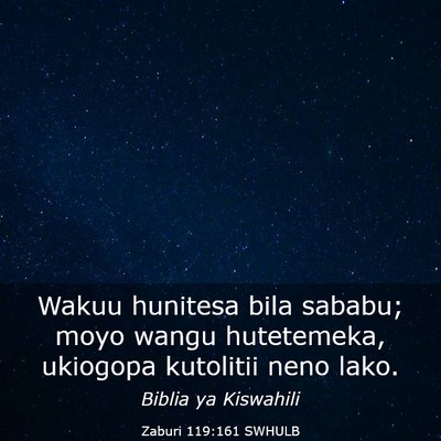 Picture 03 - Zaburi 119:161 SWHULB - Wakuu hunitesa bila sababu; moyo wangu - Bible Verse Picture