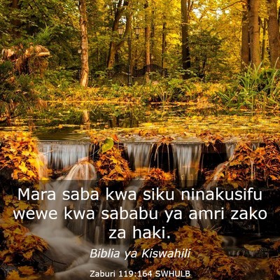 Picture 03 - Zaburi 119:164 SWHULB - Mara saba kwa siku ninakusifu wewe kwa sababu ya - Bible Verse Picture