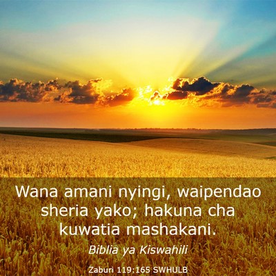 Picture 03 - Zaburi 119:165 SWHULB - Wana amani nyingi, waipendao sheria yako; hakuna - Bible Verse Picture