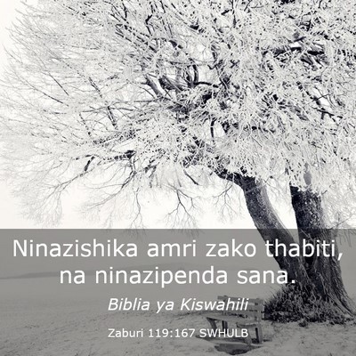 Picture 03 - Zaburi 119:167 SWHULB - Ninazishika amri zako thabiti, na ninazipenda - Bible Verse Picture