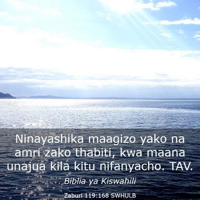 Picture 03 - Zaburi 119:168 SWHULB - Ninayashika maagizo yako na amri zako thabiti, - Bible Verse Picture