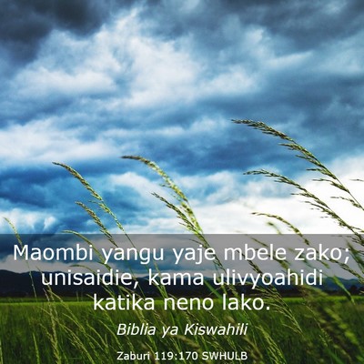 Picture 03 - Zaburi 119:170 SWHULB - Maombi yangu yaje mbele zako; unisaidie, kama - Bible Verse Picture