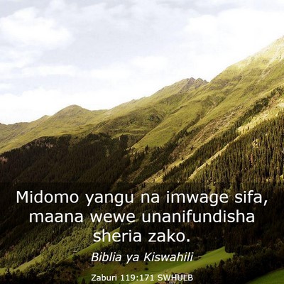 Picture 03 - Zaburi 119:171 SWHULB - Midomo yangu na imwage sifa, maana wewe - Bible Verse Picture
