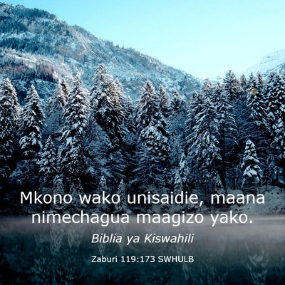 Picture 03 - Zaburi 119:173 SWHULB - Mkono wako unisaidie, maana nimechagua maagizo - Bible Verse Picture