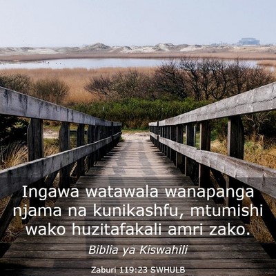 Picture 03 - Zaburi 119:23 SWHULB - Ingawa watawala wanapanga njama na kunikashfu, - Bible Verse Picture