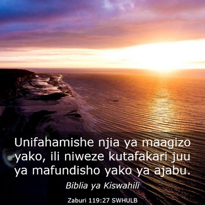 Picture 03 - Zaburi 119:27 SWHULB - Unifahamishe njia ya maagizo yako, ili niweze - Bible Verse Picture