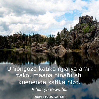 Picture 03 - Zaburi 119:35 SWHULB - Uniongoze katika njia ya amri zako, maana - Bible Verse Picture
