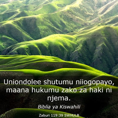 Picture 03 - Zaburi 119:39 SWHULB - Uniondolee shutumu niiogopayo, maana hukumu zako - Bible Verse Picture
