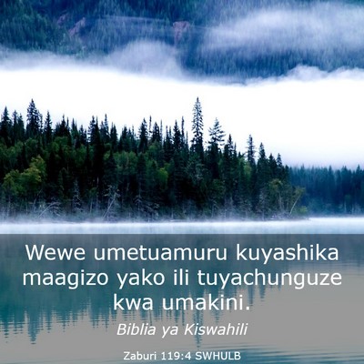Picture 03 - Zaburi 119:4 SWHULB - Wewe umetuamuru kuyashika maagizo yako ili - Bible Verse Picture