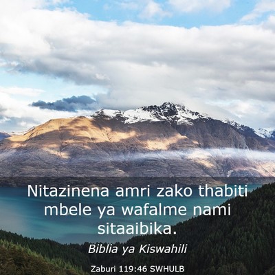 Picture 03 - Zaburi 119:46 SWHULB - Nitazinena amri zako thabiti mbele ya wafalme - Bible Verse Picture