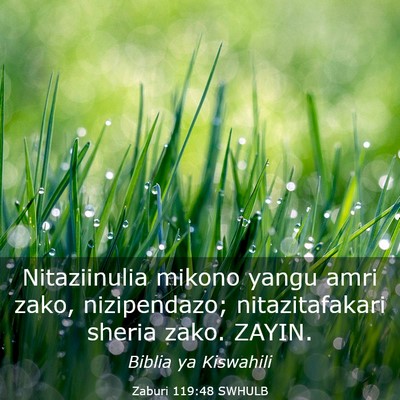 Picture 03 - Zaburi 119:48 SWHULB - Nitaziinulia mikono yangu amri zako, nizipendazo; - Bible Verse Picture