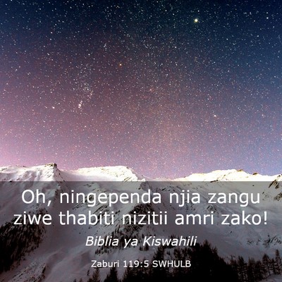 Picture 03 - Zaburi 119:5 SWHULB - Oh, ningependa njia zangu ziwe thabiti nizitii - Bible Verse Picture