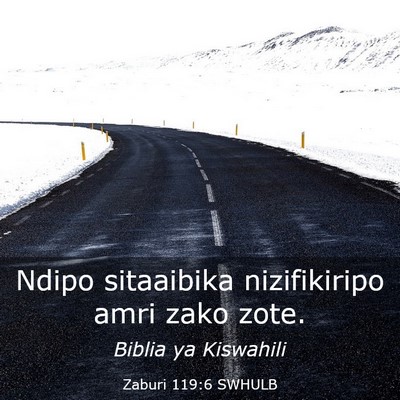 Picture 03 - Zaburi 119:6 SWHULB - Ndipo sitaaibika nizifikiripo amri zako - Bible Verse Picture