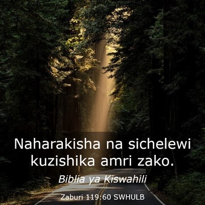 Picture 03 - Zaburi 119:60 SWHULB - Naharakisha na sichelewi kuzishika amri - Bible Verse Picture