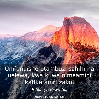 Picture 03 - Zaburi 119:66 SWHULB - Unifundishe utambuzi sahihi na uelewa, kwa kuwa - Bible Verse Picture