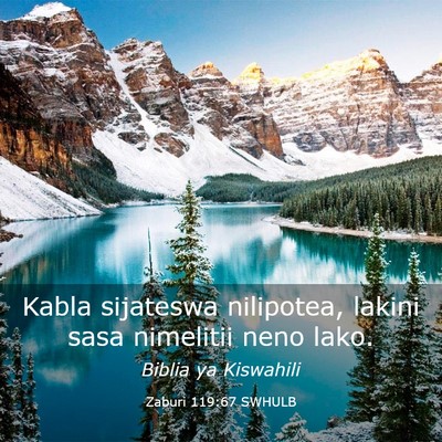 Picture 03 - Zaburi 119:67 SWHULB - Kabla sijateswa nilipotea, lakini sasa nimelitii - Bible Verse Picture