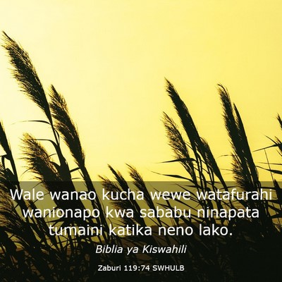 Picture 03 - Zaburi 119:74 SWHULB - Wale wanao kucha wewe watafurahi wanionapo kwa - Bible Verse Picture