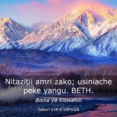 Picture 03 - Zaburi 119:8 SWHULB - Nitazitii amri zako; usiniache peke yangu. - Bible Verse Picture