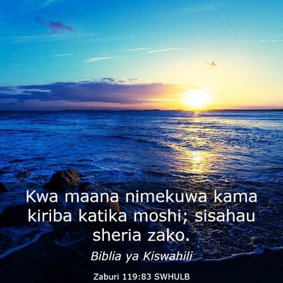 Picture 03 - Zaburi 119:83 SWHULB - Kwa maana nimekuwa kama kiriba katika moshi; - Bible Verse Picture