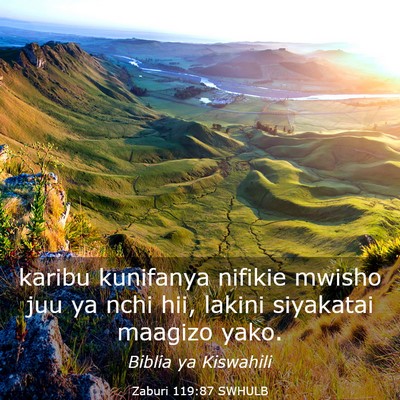 Picture 03 - Zaburi 119:87 SWHULB - karibu kunifanya nifikie mwisho juu ya nchi hii, - Bible Verse Picture