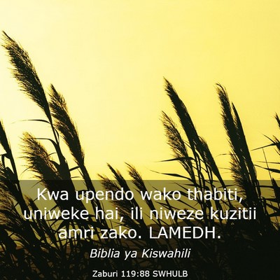 Picture 03 - Zaburi 119:88 SWHULB - Kwa upendo wako thabiti, uniweke hai, ili niweze - Bible Verse Picture