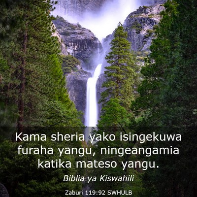 Picture 03 - Zaburi 119:92 SWHULB - Kama sheria yako isingekuwa furaha yangu, - Bible Verse Picture