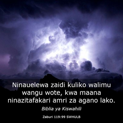 Picture 03 - Zaburi 119:99 SWHULB - Ninauelewa zaidi kuliko walimu wangu wote, kwa - Bible Verse Picture